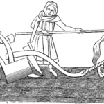 Anglo-Saxon Ploughmen