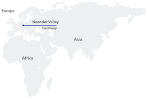 23andMe Neanderthal DNA Test Results - Image 1
